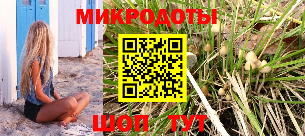 Чебоксары  Псилоцибиновые грибы ЛСД  Вход с VPN  Галлюциногенные грибы Cubensis 