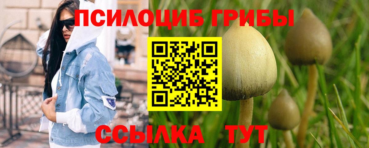 Галлюциногенные грибы Magic Shrooms Чебоксары